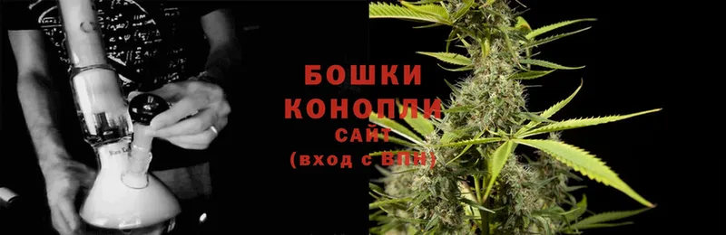 Бошки Шишки SATIVA & INDICA  Губкинский 